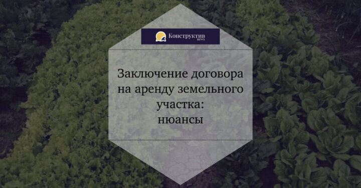 Заключение договора на аренду земельного участка: нюансы