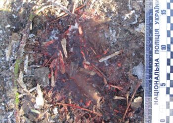 На Сумщині розпочато провадження за фактом загибелі 19-річної дівчини під час обстрілу  | Кримінальні новини