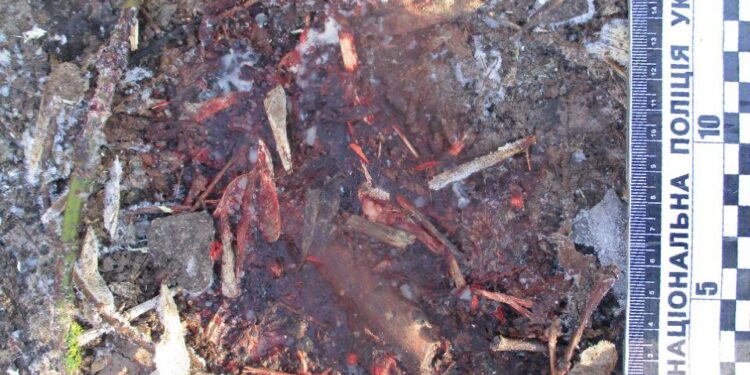 На Сумщині розпочато провадження за фактом загибелі 19-річної дівчини під час обстрілу  | Кримінальні новини