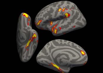 COVID повышает риск долгосрочной травмы головного мозга — исследование