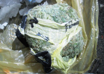 Жбурляв наркотики через паркан виправної колонії, — на Житомирщині затримано дилера  | Кримінальні новини