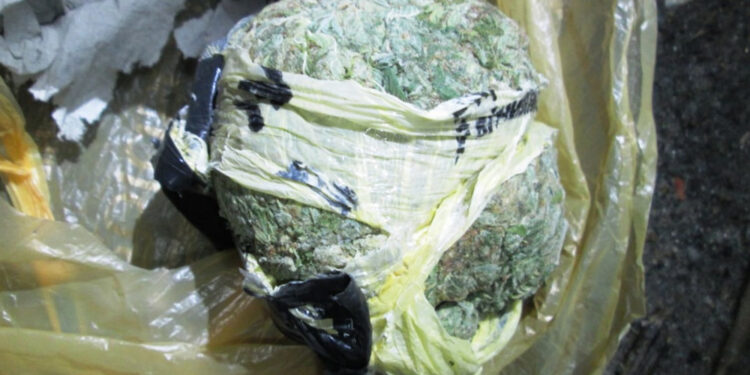 Жбурляв наркотики через паркан виправної колонії, — на Житомирщині затримано дилера | Кримінальні новини