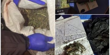 На Волині суд обрав запобіжний захід 19-річному збувачу наркотиків, — прокуратура  | Кримінальні новини