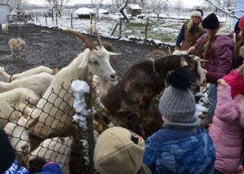 Комплексна психологічна допомога переселенцям – Новини Львова та області