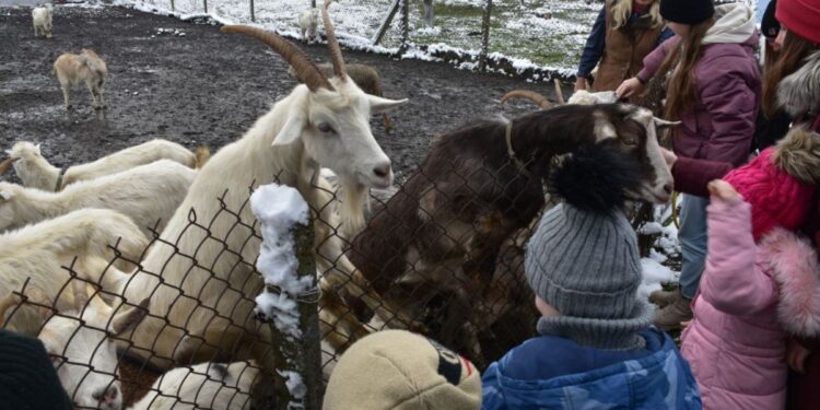 Комплексна психологічна допомога переселенцям – Новини Львова та області