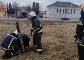 У Білій Церкві бійці ДСНС допомогли собаці, який втрапив у халепу | Кримінальні новини