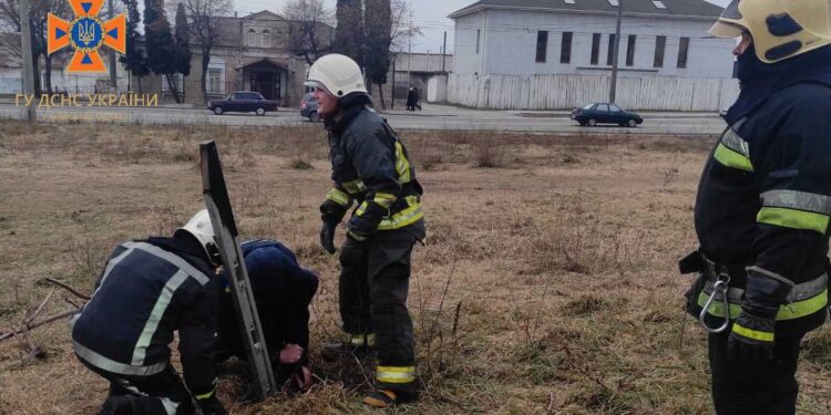 У Білій Церкві бійці ДСНС допомогли собаці, який втрапив у халепу | Кримінальні новини