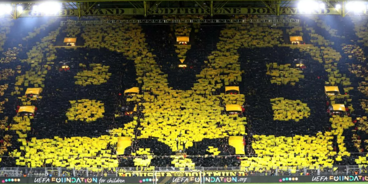 Воспитанник «Шахтера» перейдет в «Боруссию» Д (7 января 2023 г.) — Новости футбола