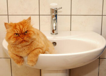 Два райони Одеси залишаться без води | Одеський Монітор