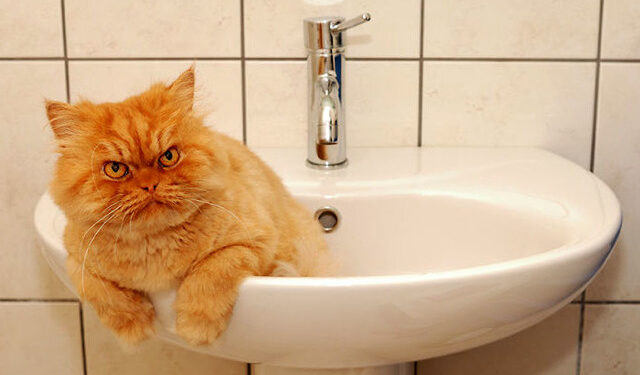 Два райони Одеси залишаться без води | Одеський Монітор