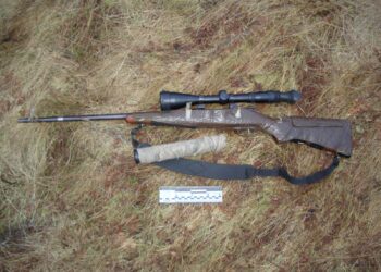 На Сумщині поліцейські затримали трьох браконьєрів, які встигли вполювати дичину  | Кримінальні новини