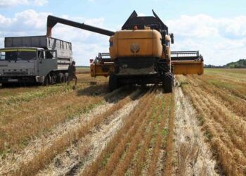 Фермери житниці Європи у біді