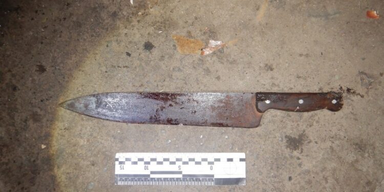 На Одещині чоловік убив гостя | Надзвичайні події Одесса та область