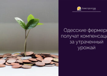 Одесские фермеры получат компенсацию за утраченный урожай — Суспільство Одеси