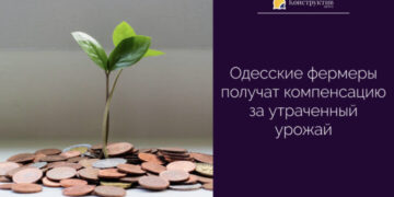Одесские фермеры получат компенсацию за утраченный урожай — Суспільство Одеси