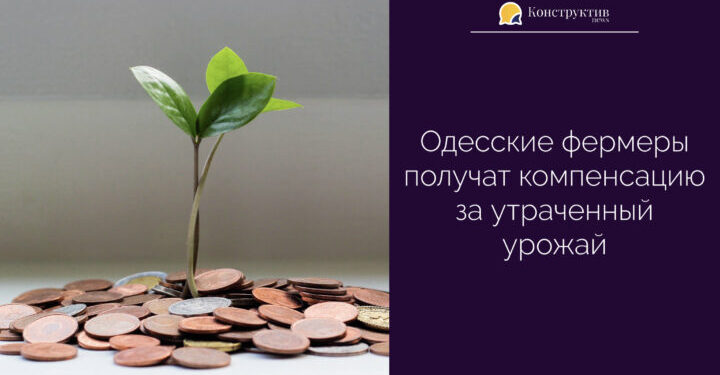Одесские фермеры получат компенсацию за утраченный урожай — Суспільство Одеси