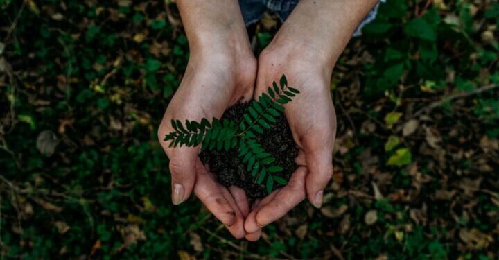 Порядок получения выдержки из Государственного земельного кадастра