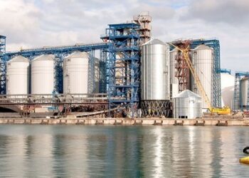 У власників одного з зернових терміналів порту Одеса арештували активи в Британії | Одеський Кур’єр