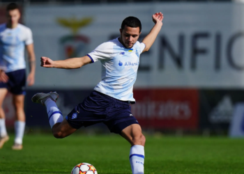 Контрольный матч. «Динамо» — «Политехника» — 2:0. Обзор матча, ВИДЕО (12 февраля 2023 г.) — Новости футбола