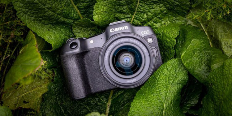 Canon EOS R8: доступна повнокадрова заміна EOS R/RP з відмінними відеоможливостями — Новости технологий