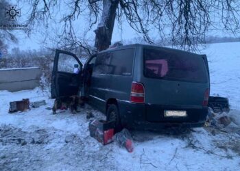 На Дніпропетровщині бусик летів у дерево, пораненого водія діставали пожежні | Кримінальні новини