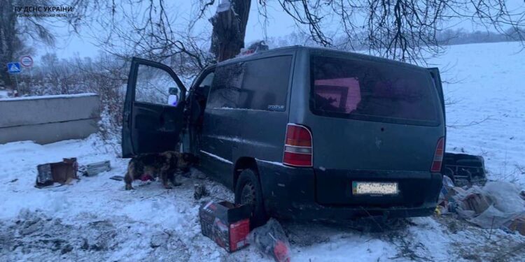 На Дніпропетровщині бусик летів у дерево, пораненого водія діставали пожежні | Кримінальні новини
