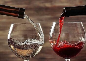 Бізнес під час війни: винороб з Одещини виготовляє органічне вино — Новини Одеської області