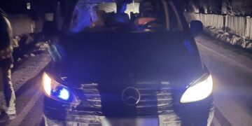 У селі на Буковині мікроавтобус на смерть збив літнього чоловіка, — поліція  | Кримінальні новини