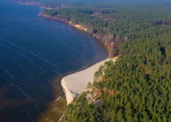Екологічні злочини на Канівському водосховищі – проведено обшуки за матеріалами провадження | Кримінальні новини