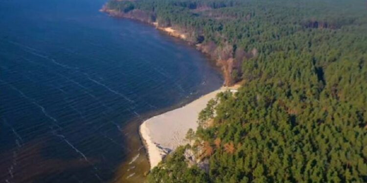 Екологічні злочини на Канівському водосховищі – проведено обшуки за матеріалами провадження | Кримінальні новини