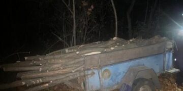 На Одещині чоловіки вирубали лісові насадження | Надзвичайні події Одесса та область