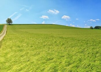 Принято постановление о поддержке аграриев: нововведения — Суспільство Одеси