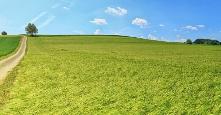 Принято постановление о поддержке аграриев: нововведения — Суспільство Одеси