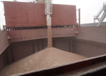 У порту Чорноморська готують до відправки до Республіки Кенія 25 тис. тонн української пшениці — Новини Одеської області