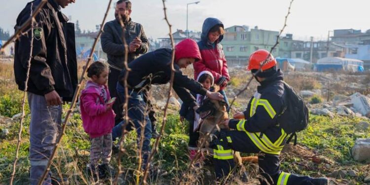 Українські рятувальники-кінологи та їхні службові собаки повернулися із зони землетрусу в Туреччині