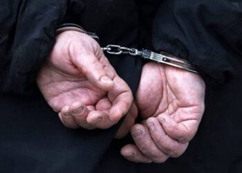 В Ізмаїлі крали насіння соняшника та пшеницю