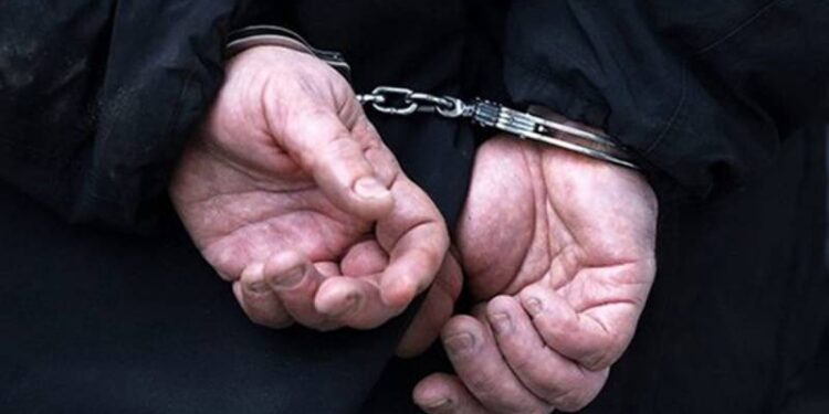 В Ізмаїлі крали насіння соняшника та пшеницю