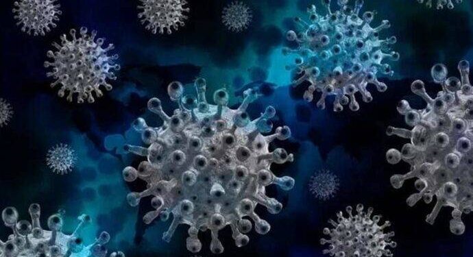 В Одесской области замечен новый подвид коронавируса – насколько он опасен?