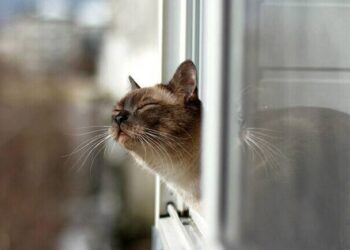 Весна близько: яка погода буде у Одесі та області на вихідні