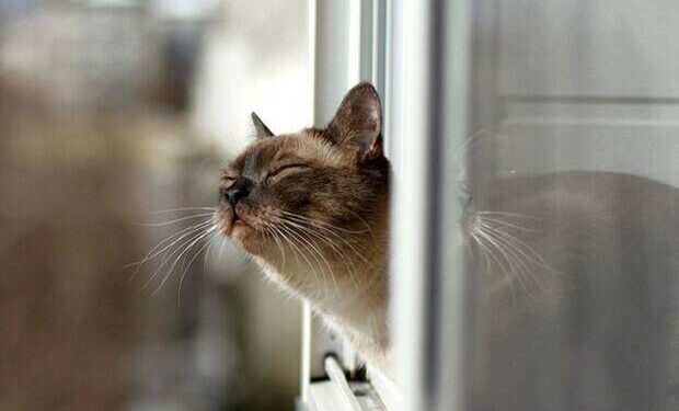 Весна близько: яка погода буде у Одесі та області на вихідні