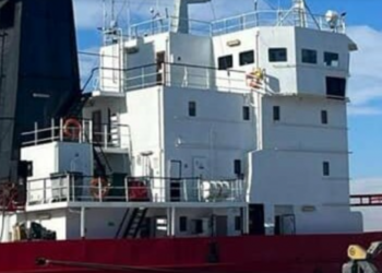 Вперше за часів незалежності: через порт Рені в Україну будуть завозити цитрусові з Єгипту