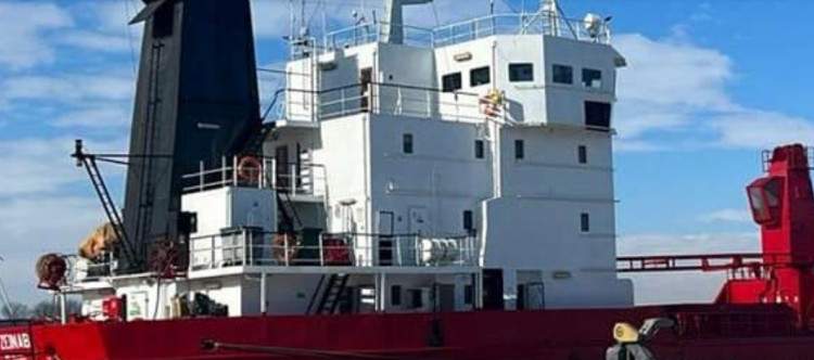 Вперше за часів незалежності: через порт Рені в Україну будуть завозити цитрусові з Єгипту