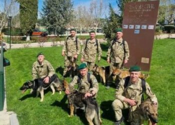 Українські кінологи розпочали в Іспанії спецкурс з виявлення вибухівки та зброї
