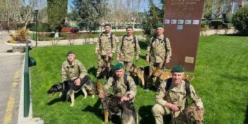 Українські кінологи розпочали в Іспанії спецкурс з виявлення вибухівки та зброї