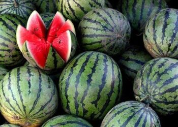 «ВСУ рекомендуют»: в Минздраве напомнили о пользе арбузов
