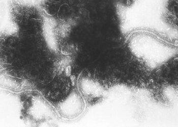 ЕС одобрил профилактическое лечение детского респираторно-синцитиального вируса