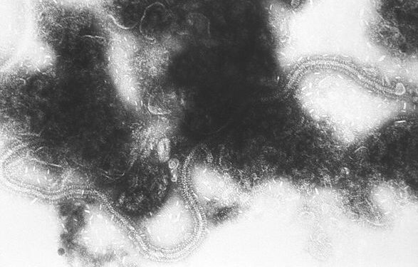 ЕС одобрил профилактическое лечение детского респираторно-синцитиального вируса