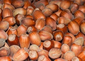 На Одещині чоловік вкрав у односельця дорогі горіхи | Надзвичайні події Одесса та область