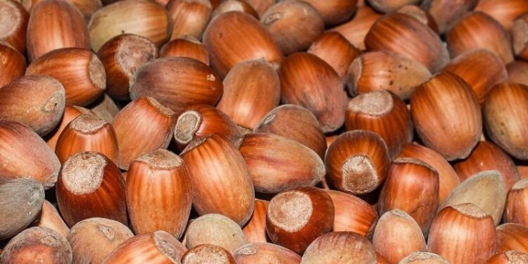 На Одещині чоловік вкрав у односельця дорогі горіхи | Надзвичайні події Одесса та область