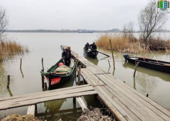 На Одещині рибалкам дозволили вилов дунайського оселедця